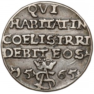 Zygmunt II August, Trojak Tykocin 1565 - szyderczy