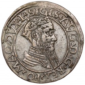 Sigismund II. Augustus, Vierfacher Vilnius 1567