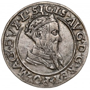Sigismund II Augustus, Vierfacher Vilnius 1569 - selten