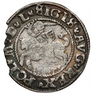 Zikmund II August, půlpenny Vilnius 1545 - 2 typy - velmi vzácné