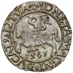 Sigismund II. Augustus, halber Pfennig Vilnius 1561