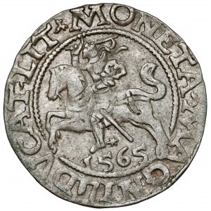 Sigismund II Augustus, halber Pfennig Vilnius 1565 - selten