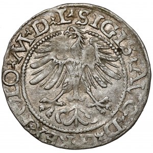 Zikmund II August, půlpenny Vilnius 1565 - vzácný