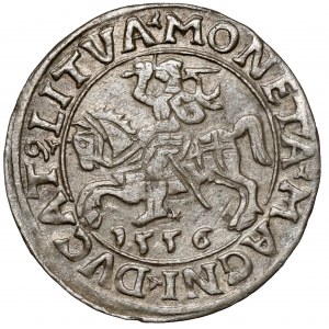 Sigismund II. Augustus, halber Pfennig Vilnius 1556