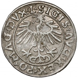 Zikmund II August, půlpenny Vilnius 1556