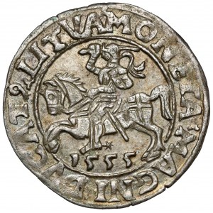 Zikmund II August, půlpenny Vilnius 1555