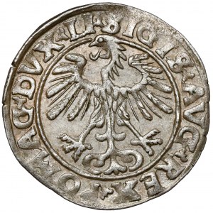 Sigismund II. Augustus, halber Pfennig Vilnius 1555