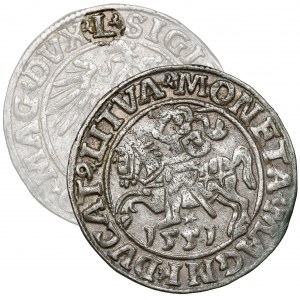 Sigismund II Augustus, halber Pfennig Vilnius 1551 - L - sehr selten