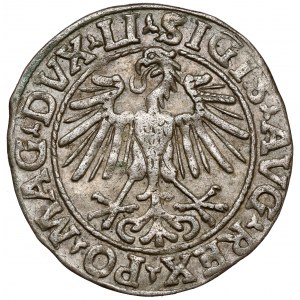 Zygmunt II August, Półgrosz Wilno 1548