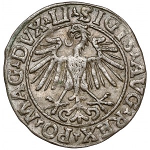 Zikmund II August, půlpenny Vilnius 1548