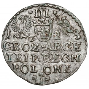 Žigmund III Vasa, Trojak Krakov 1623