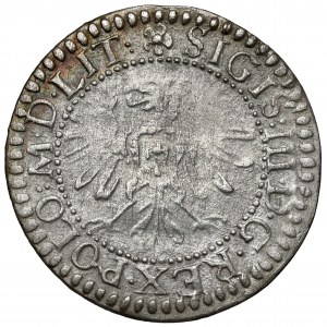 Zikmund III Vasa, Vilnius Penny 1610