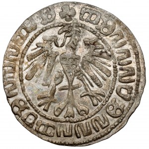 Sigismund II Augustus, Vilnius halber Pfennig - eine Fälschung der Zeit - SCHÖN