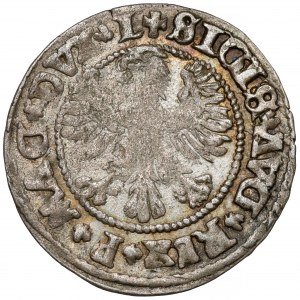 Sigismund II. Augustus, halber Pfennig Vilnius 1546 - oval