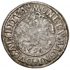 Sigismund II Augustus, Vilnius 1546 halber Pfennig - oval - LITVA