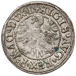 Žigmund II August, Vilnius 1546 polgroš - oválny - LITVA