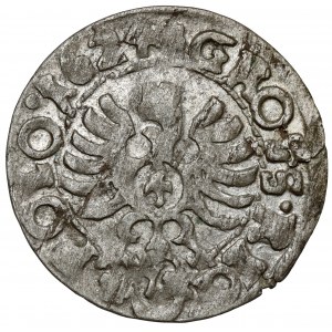 Žigmund III Vasa, Bydgoszcz Penny 1624