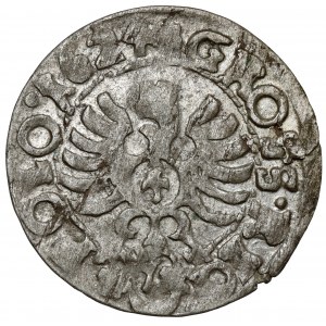 Zikmund III Vasa, Bydgoszcz Penny 1624