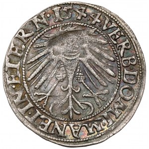 Sliezsko, Fridrich II, Penny 1544, Legnica