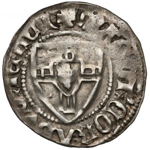 Teutonský rád, Conrad III von Jungingen, Shelagus
