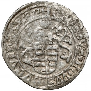 Sasko, Friedrich III, Johann a Georg, groš bez dátumu (1500-1525)