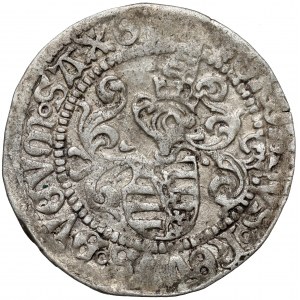 Saxony, Friedrich III, Johann and Georg, Groschen ND (1500-1525)