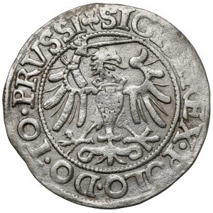 Zygmunt I Stary, Grosz Elbląg 1540 - ostatni