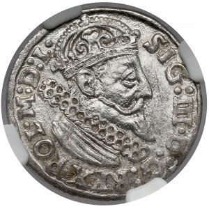 Zikmund III Vasa, Trojak Krakov 1624