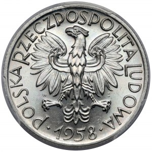 Rybak 5 złotych 1958 - wąska ósemka