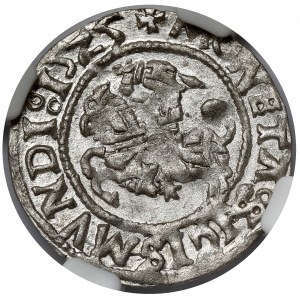 Sigismund I. der Alte, Halber Pfennig Vilnius 1525