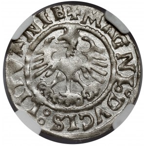 Sigismund I. der Alte, Halber Pfennig Vilnius 1525