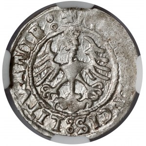 Sigismund I. der Alte, Halber Pfennig Vilnius 1522