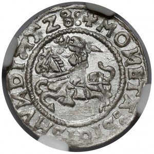 Zikmund I. Starý, vilniuský půlgroš 1528 - vzácný