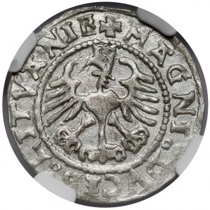 Zikmund I. Starý, vilniuský půlgroš 1528 - vzácný