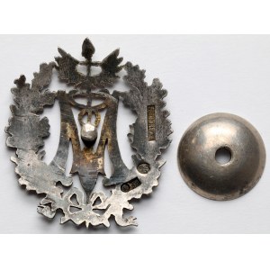 Stříbrný odznak, Lékařská univerzita (?) - WERNER a Sa (19. století).