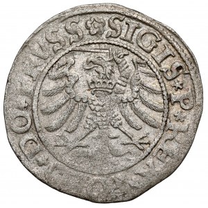 Sigismund I. der Alte, Elbląg 1532