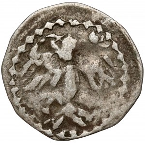 Kazimierz III Wielki (?), Denar Kraków - Hełm, bez napisu - b.rzadki