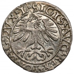 Žigmund II August, vilenský polgroš 1562 - začiatok