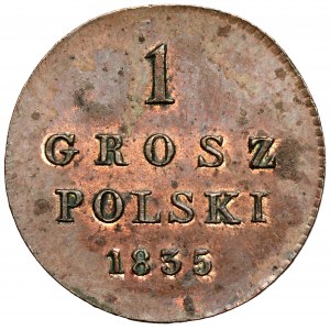 1 Polnischer Groschen 1835 IP - Neuprägung Warschau - RARE