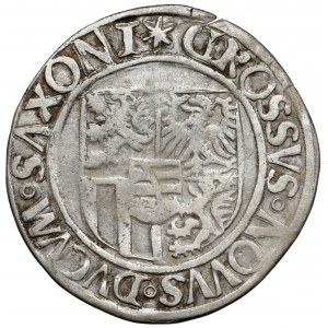 Sasko, Friedrich III, Johann a Georg, Schreckenberger bez data (1507-1525)