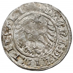 Sigismund I. der Alte, Halber Pfennig Vilnius 1512