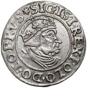 Sigismund I. der Alte, Grosz Gdańsk 1539