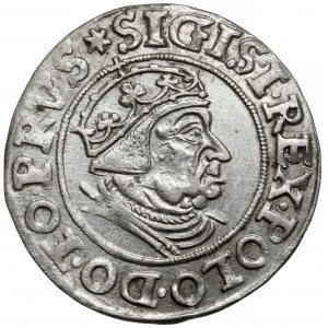 Zikmund I. Starý, Grosz Gdaňsk 1539