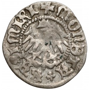 Kasimir IV. Jagiellone, Halbpfennig Krakau - Rückseite E
