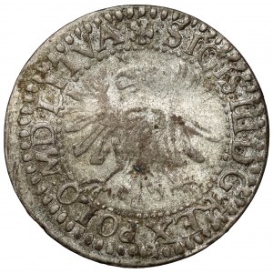 Zikmund III Vasa, Vilnius Penny 1610