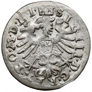 Zikmund III Vasa, Vilnius Penny 1609