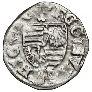 Maďarsko, Žigmund Luxemburský (1387-1437), denár