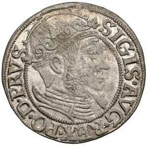 Sigismund II Augustus, Danziger Pfennig 1557 - SCHÖN