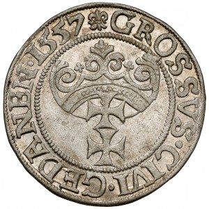 Zikmund II August, Gdaňský groš 1557 - KRÁSNÝ