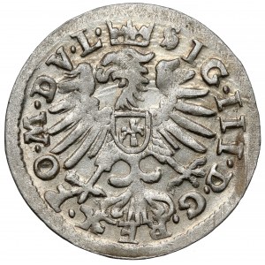 Sigismund III. Vasa, Vilniuser Pfennig 1609